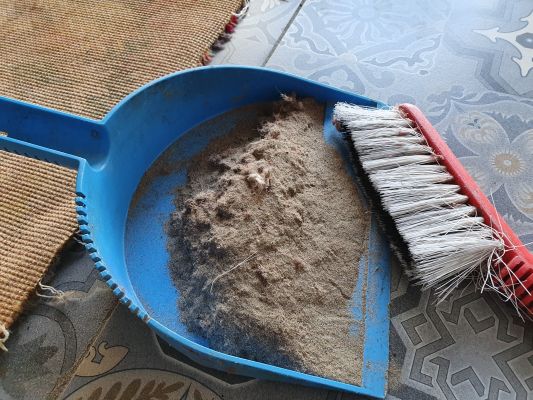 dust remove rug cleaning